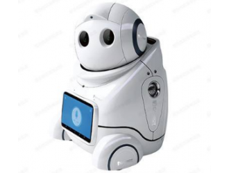国网南京公司“管家式”智能机器人正式“上岗”